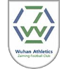 Hubei Athletics Zaiming Logo