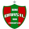 Brasil de Farroupilha (W) Logo