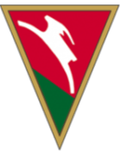 Lublinianka Lublin Logo