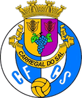 Carregal do Sal Logo