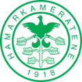 Ham-Kam U19 Logo