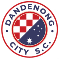 Dandenong City U23 Logo