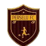 PERSELU Logo