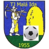 ดรุซสเตฟนิค ลิตเติ้ล ไอดา Logo