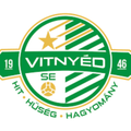 Vitnyed Logo