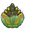 จังหวัดกำปงสปือ Logo