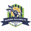 Marumo Gallants FC Logo