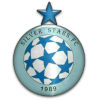 Silver Stars Logo