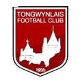 Tongwynlais Logo