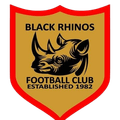 Black Rhinos Logo