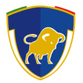 Celaya II Logo