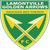 Golden Arrows Reserves Logo