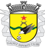 Galvez Youth Logo