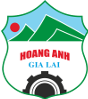 Hoang Anh Gia Lai U19 B Logo