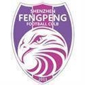 Shenzhen Fengpeng Logo