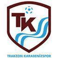 Trabzon Karadenizspor Logo