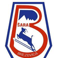 Brezovica Logo