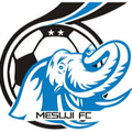 Mesuji FC Logo
