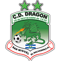 ZFK Dragon 2014 (w) Logo