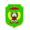 Palopo United Logo