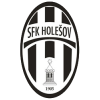 Holesov Logo