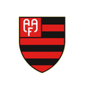 Flamengo SP Youth Logo