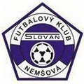 Nemsova Logo