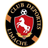 Deportes Limache (W) Logo