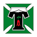 Deportes Temuco Logo