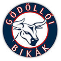 Godolloi SK (W) Logo