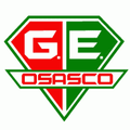 Runner up logo