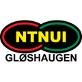 Ntnui Logo