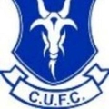 Colepark United Logo