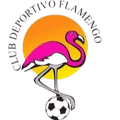 Flamengo Cucuta U19 Logo