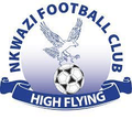 Nkwazi Queens(w) Logo