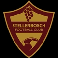 Stellenbosch FC Logo
