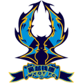 Hangzhou Linping Wuyue U17 Logo
