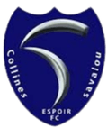 Espoir FC Savalou Logo