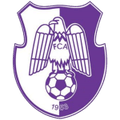 FC Arges Pitesti Logo