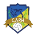 Lobos Huerta FC Logo