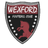 Đội trẻ Wexford U19 Logo