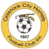 Cessnock City Hornets Logo