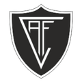 Viseu Logo