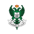 Toledo U19 Logo