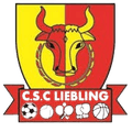คสช.ที่รัก Logo