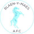 Blaen Y Maes Logo
