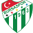 Bursaspor U19 Logo