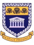 西開普大學女足 Logo