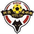 Shaanxi Laochenggen(2011-2013) Logo