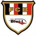 Bleid Logo
